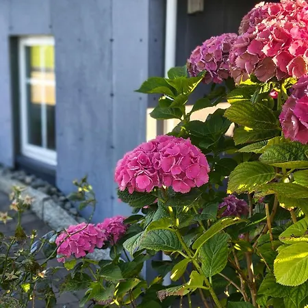 Apartment Meeresbrise *