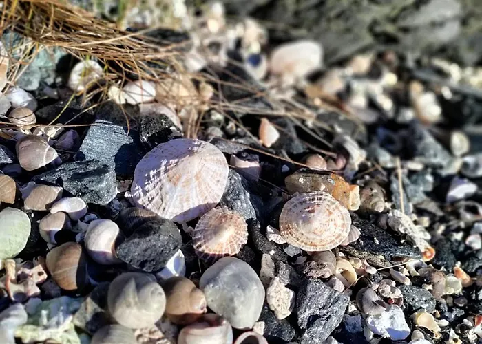 Meeresbrise Apartamento Utstein Kloster